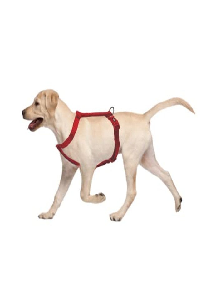 Trixie Premium Touring Harness for Dogs Made with Fleece Padding, Adjustable, and Lightweight Strong D-Ring Keeps The Harness and Leash in Place (S-M, Red) - Image 4